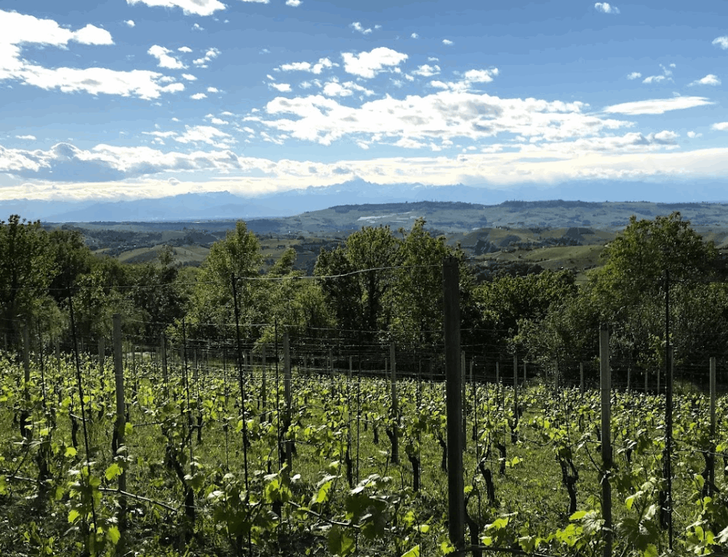 Agriturismo nelle Langhe